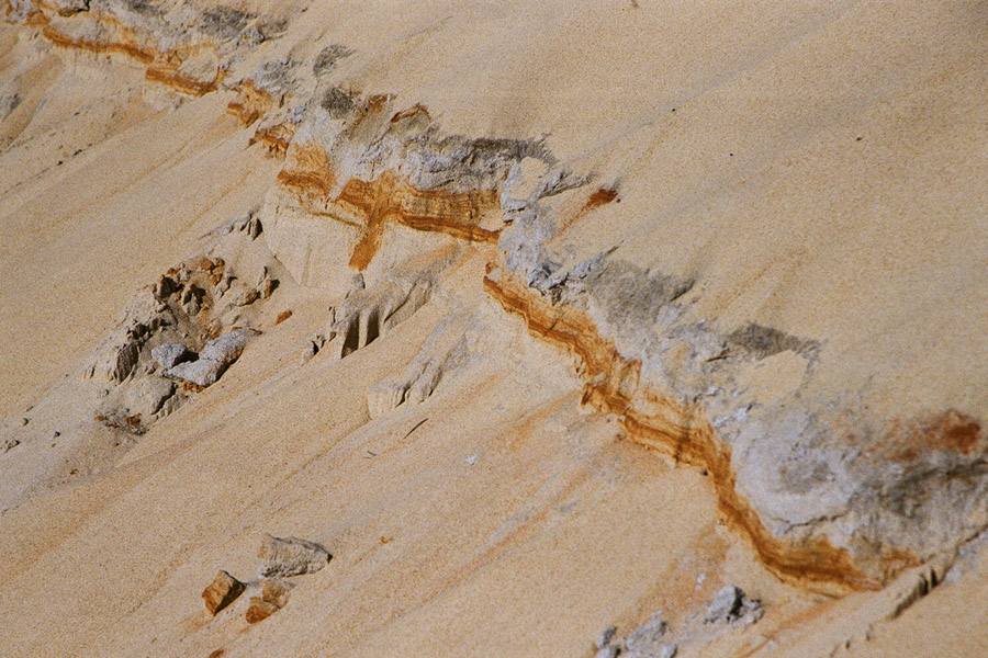 Orange Arcachon sand dune detail